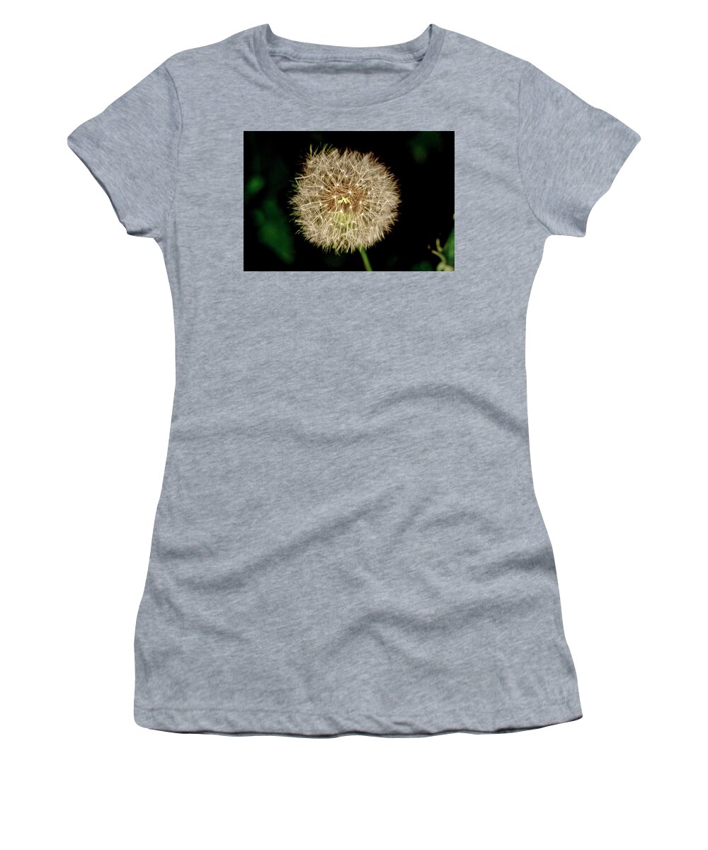 Dandelion Women's T-Shirt featuring the photograph Early in the morning. by Elena Perelman
