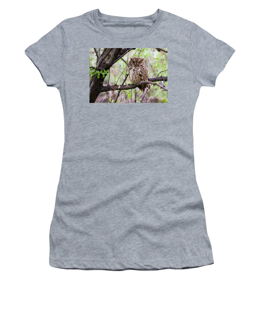 Eastern Screech Owl Women's T-Shirt featuring the photograph Eastern Screech Owl #3 by Mindy Musick King