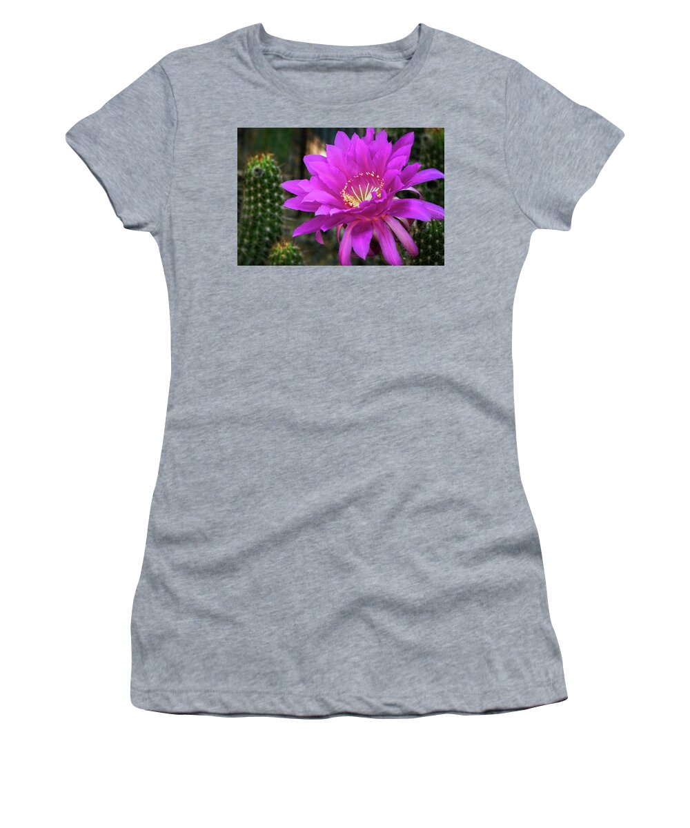 Echinopsis Women's T-Shirt featuring the photograph Echinopsis in Hot Pink by Saija Lehtonen