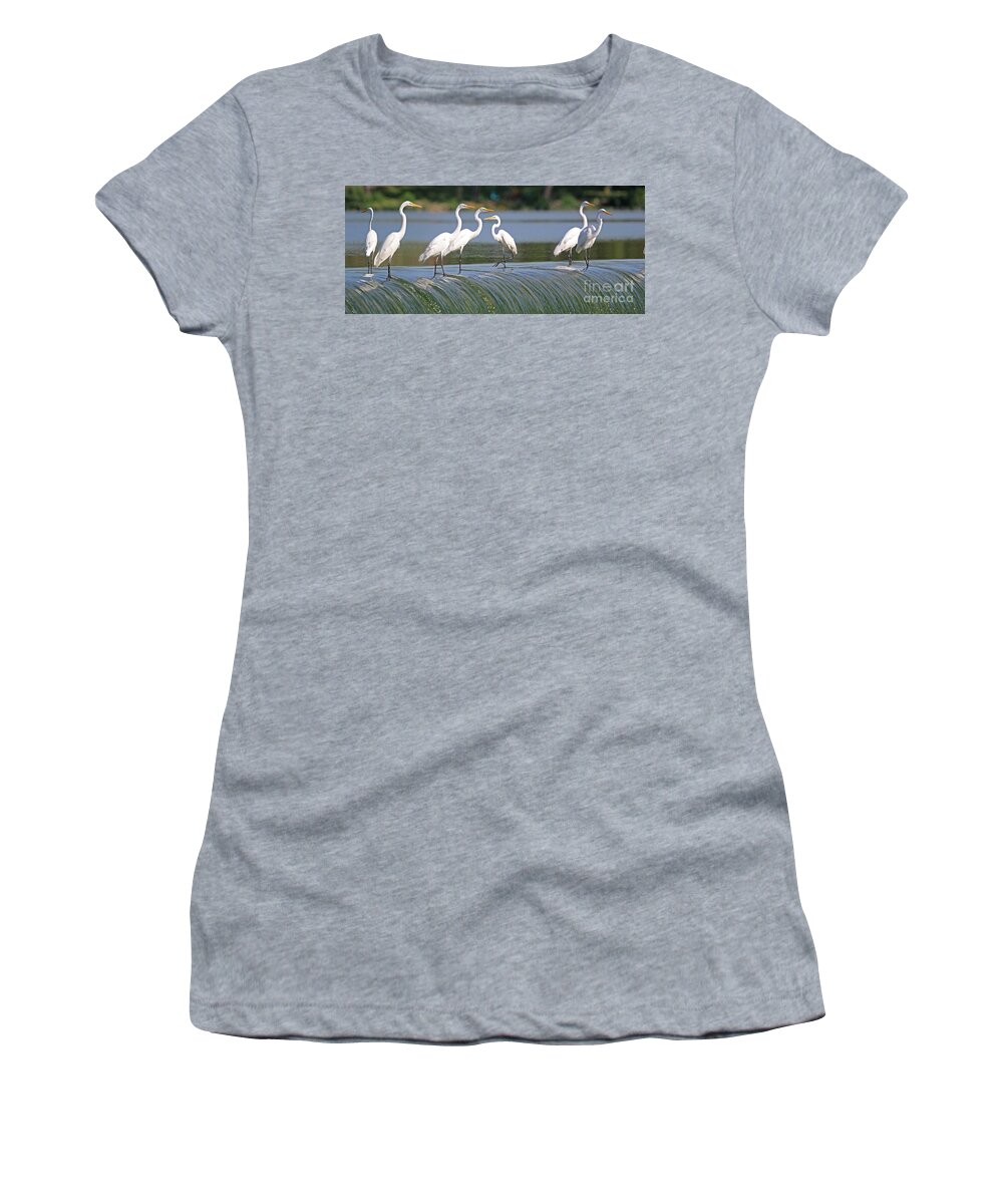 Great White Egret Women's T-Shirt featuring the photograph Egrets at the Dam 3047 by Jack Schultz