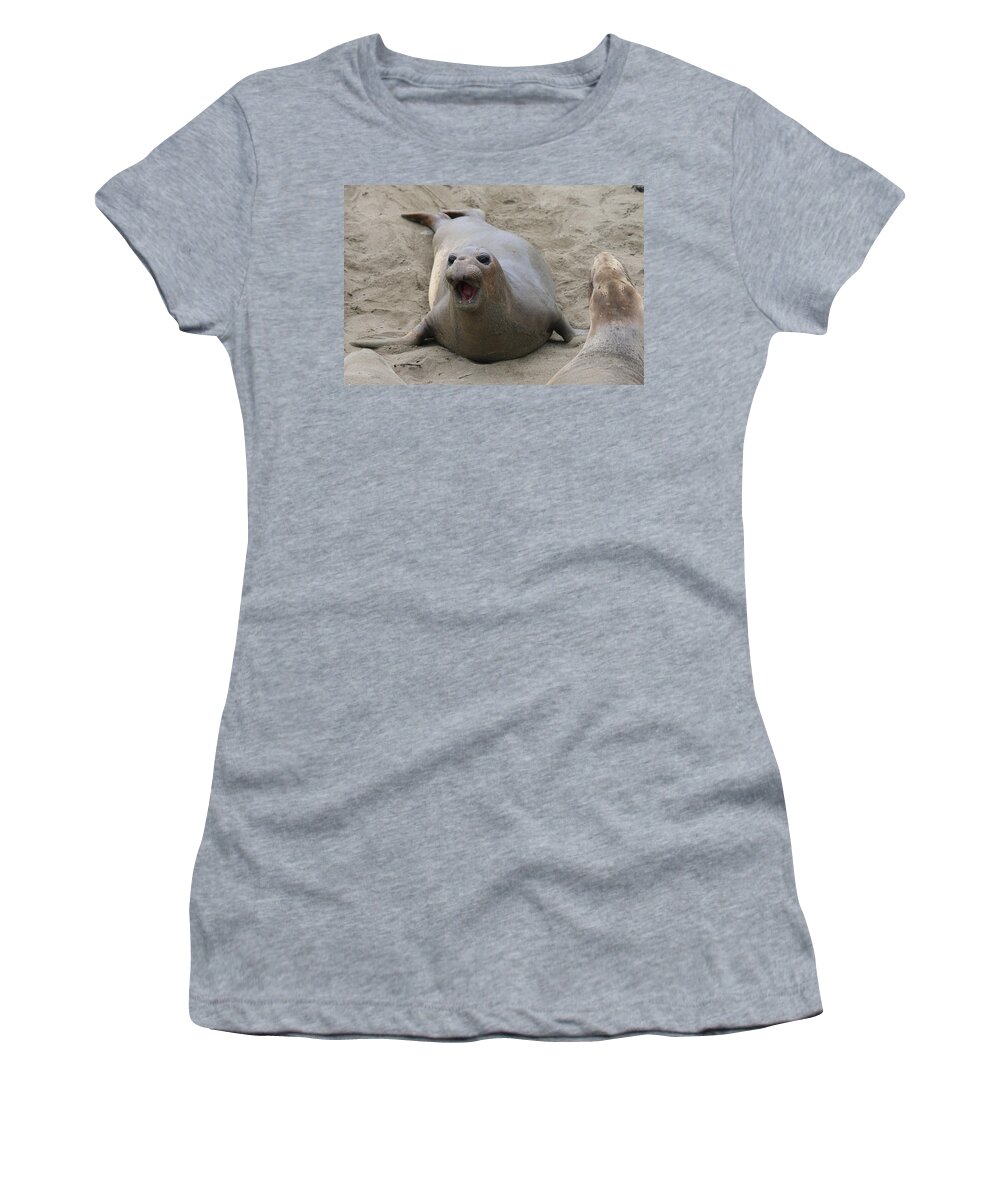 Elephant Seal Women's T-Shirt featuring the photograph Elephant Seal - 5 by Christy Pooschke