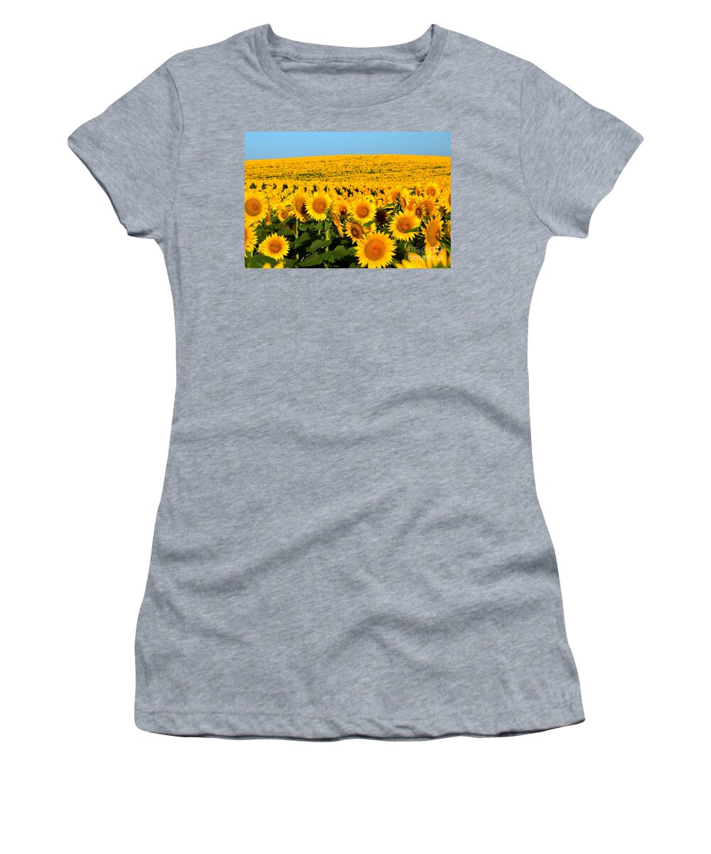 Helianthus Annuus Women's T-Shirt featuring the photograph Endless Sunflowers by Catherine Sherman