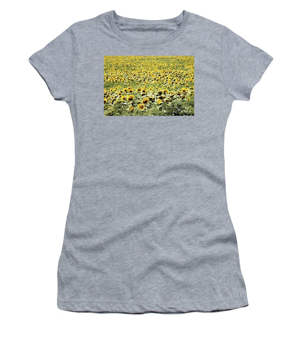 Endless Sunflowers Women's T-Shirt featuring the photograph Endless Sunflowers by Jim DeLillo