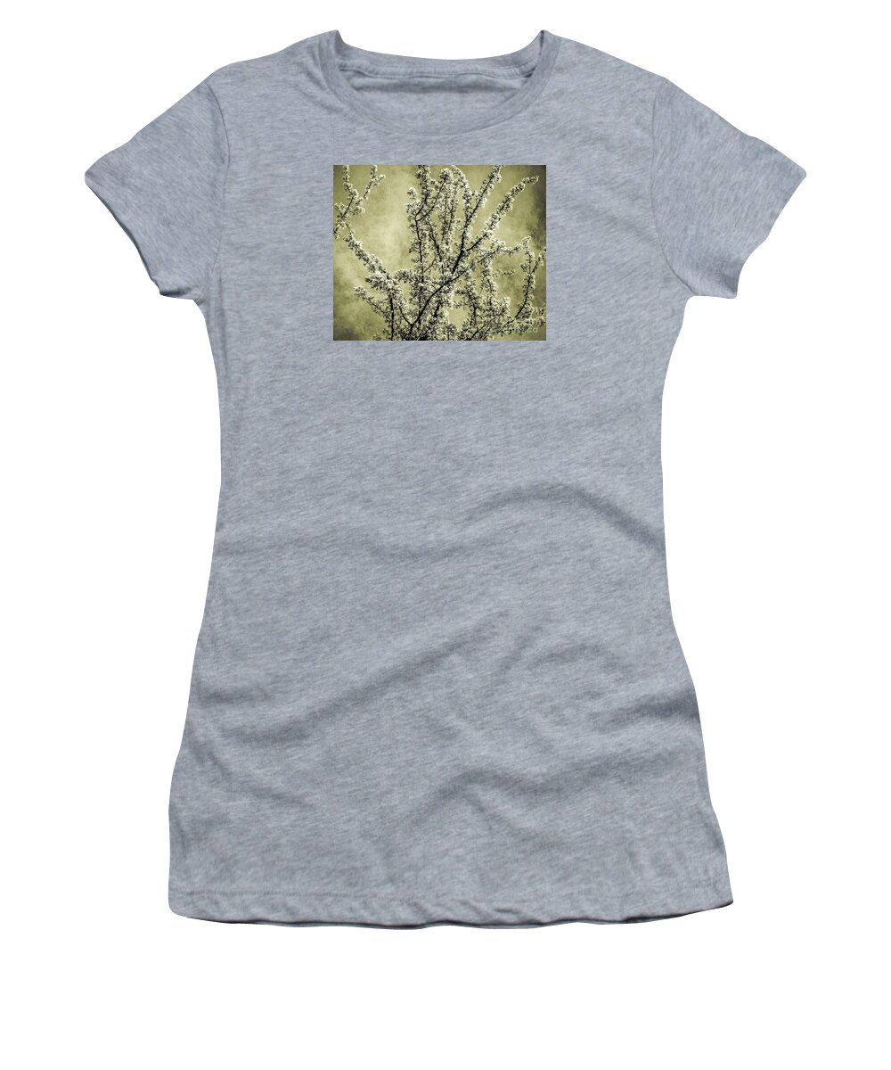 Background Women's T-Shirt featuring the photograph Endurance by Andrea Anderegg