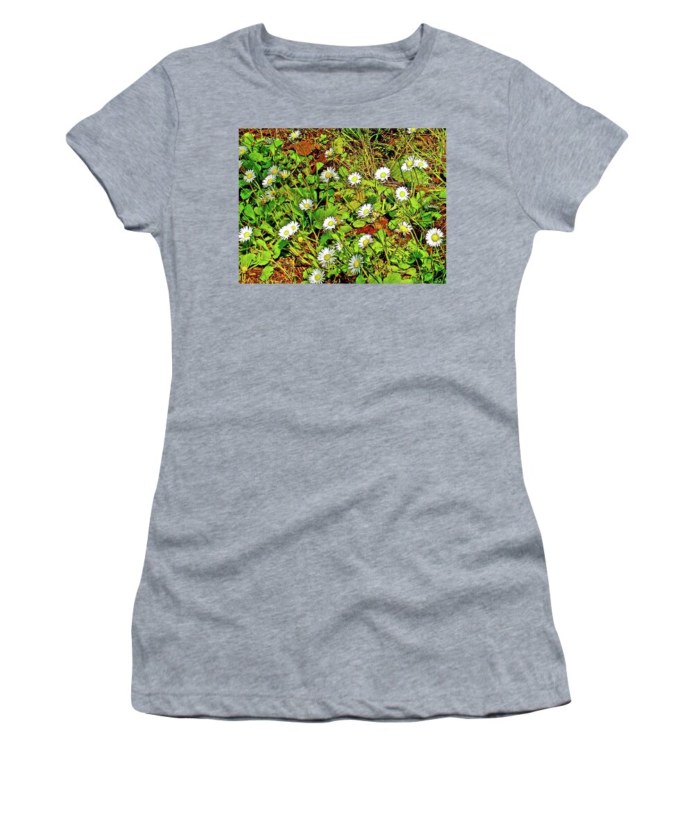 English Daisies By The Roadside In Cape Meares Beach In Cape Meares State Park Women's T-Shirt featuring the photograph English Daisies by the Roadside in Cape Meares State Park, Oregon by Ruth Hager