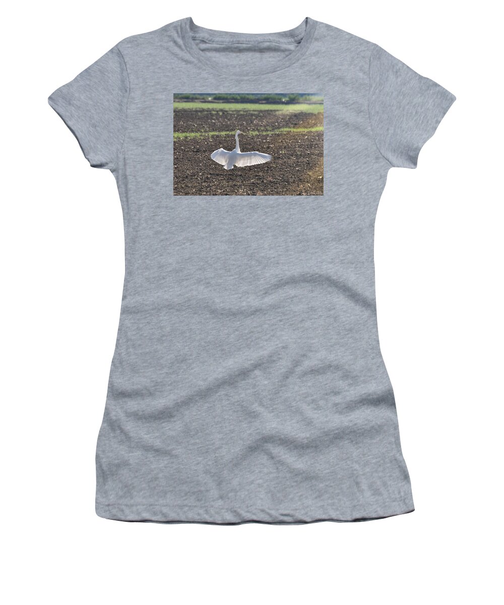 Birds Women's T-Shirt featuring the photograph Enjoying the Sun by Wendy Carrington