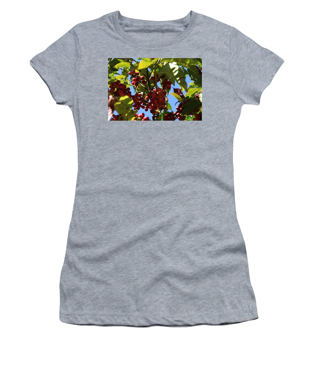 Coffee Women's T-Shirt featuring the photograph Ethiopian Coffee Beans by Aidan Moran