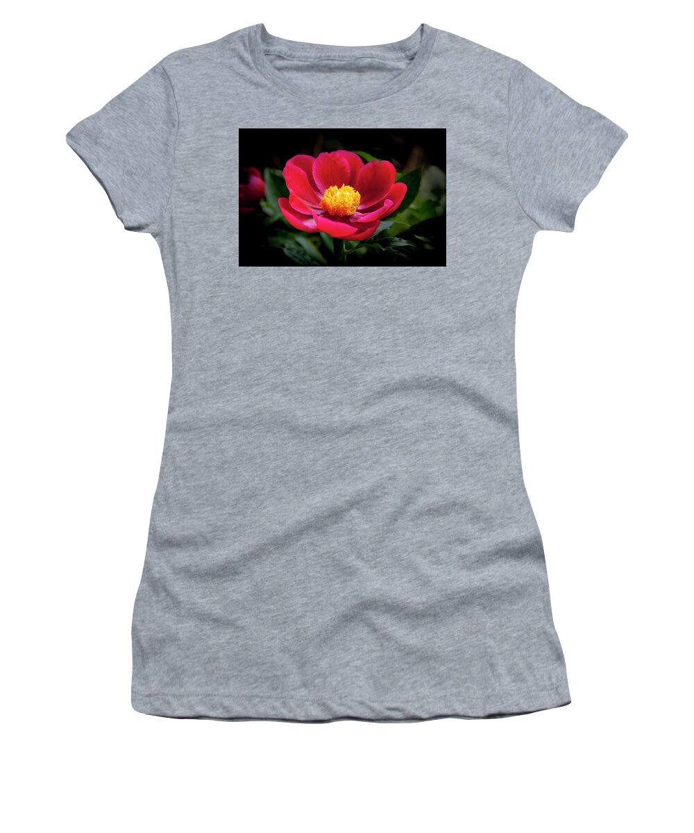 Charles Harden Women's T-Shirt featuring the photograph Evening Peony by Charles Harden