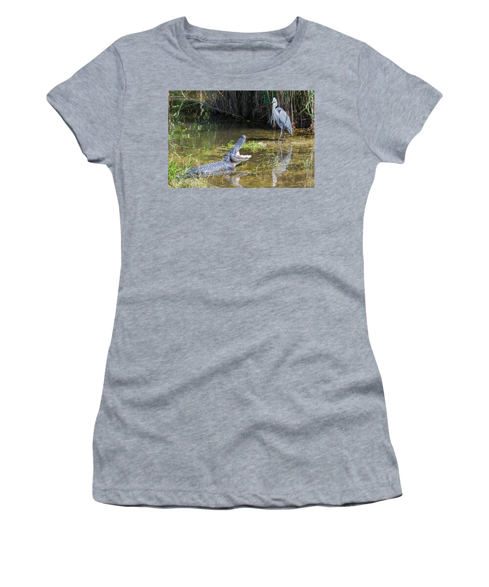Everglades National Park Women's T-Shirt featuring the photograph Everglades 431 by Michael Fryd