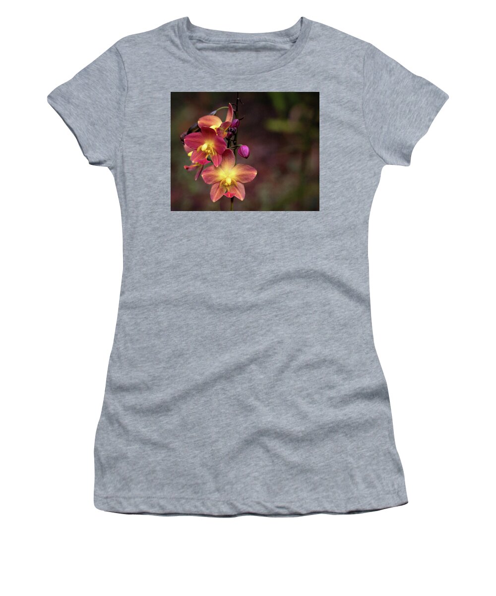 Orchids Women's T-Shirt featuring the photograph Exotic Orchid 2 by Susan Rissi Tregoning