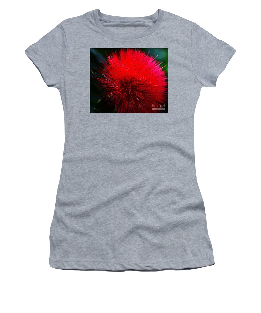 Flower Women's T-Shirt featuring the photograph Explosive Nature by Cindy Manero