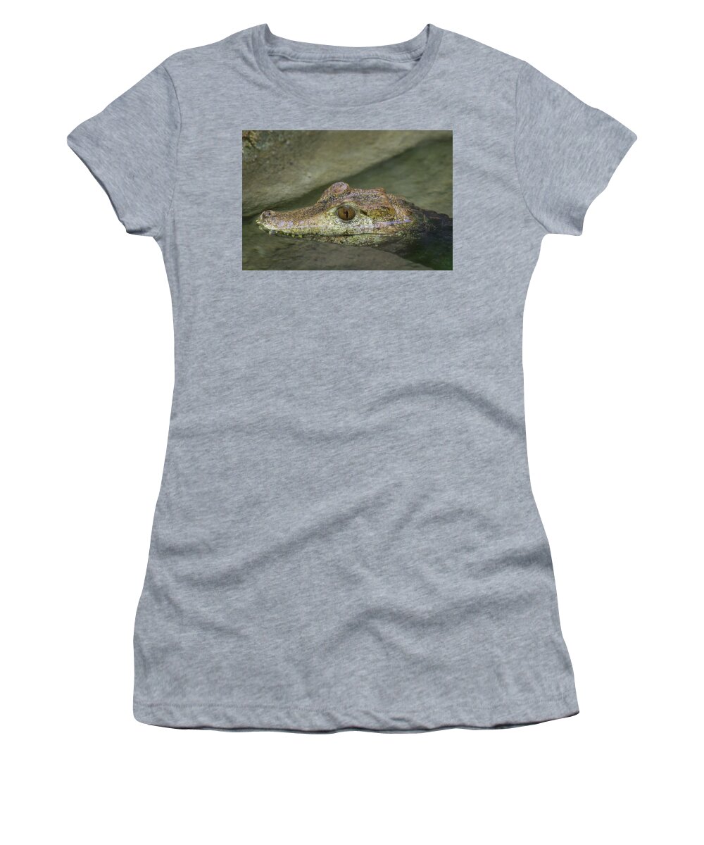 Wildlife Women's T-Shirt featuring the photograph Eye of The Gator by David Stasiak