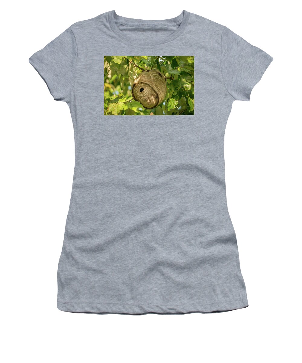 Nature Women's T-Shirt featuring the photograph Eye of the Storm by Chris Berrier