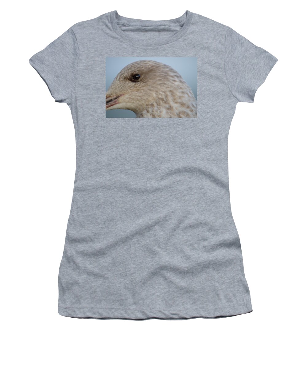 Gull Women's T-Shirt featuring the photograph Face of Young Seagull by Adrian Wale