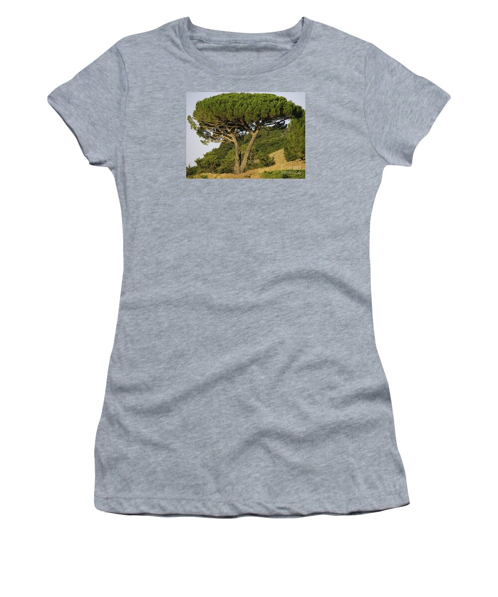 Tree Women's T-Shirt featuring the photograph Fairfax Beauty by Joyce Creswell