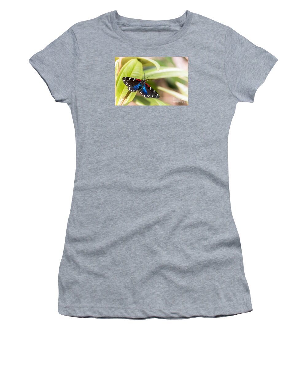Arctiidae Women's T-Shirt featuring the photograph Faithful Beauty by Amanda Mohler