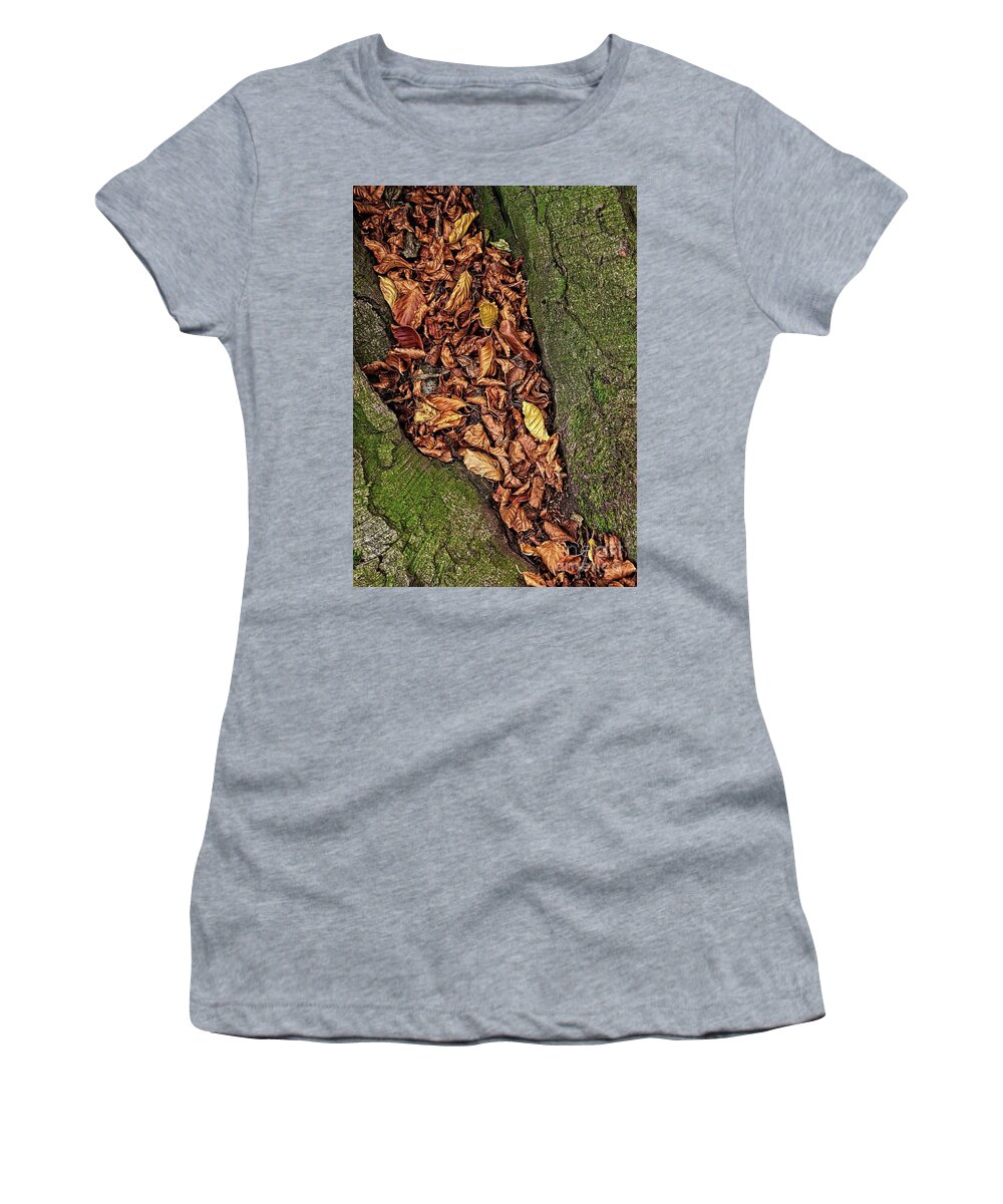 Fall Women's T-Shirt featuring the photograph Fall Beech Tree Leaves by Martyn Arnold