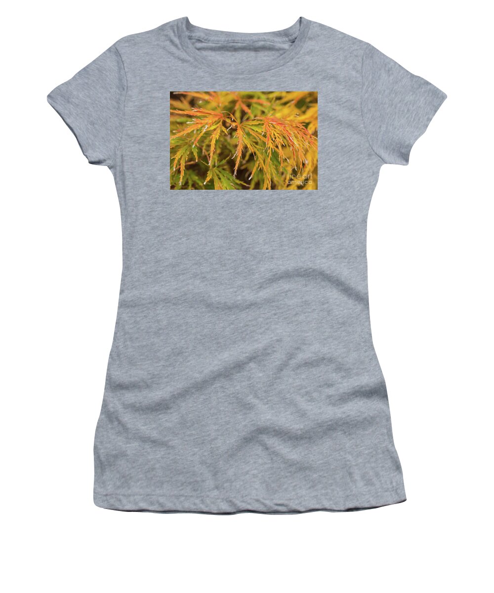 Scenic Women's T-Shirt featuring the photograph Fall Color 5528 41 by M K Miller