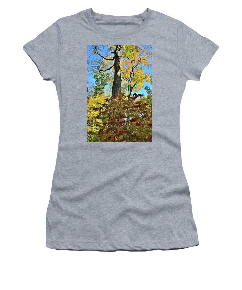 Lake County Women's T-Shirt featuring the photograph Fall Color Canopy in Ryerson Woods by Ray Mathis