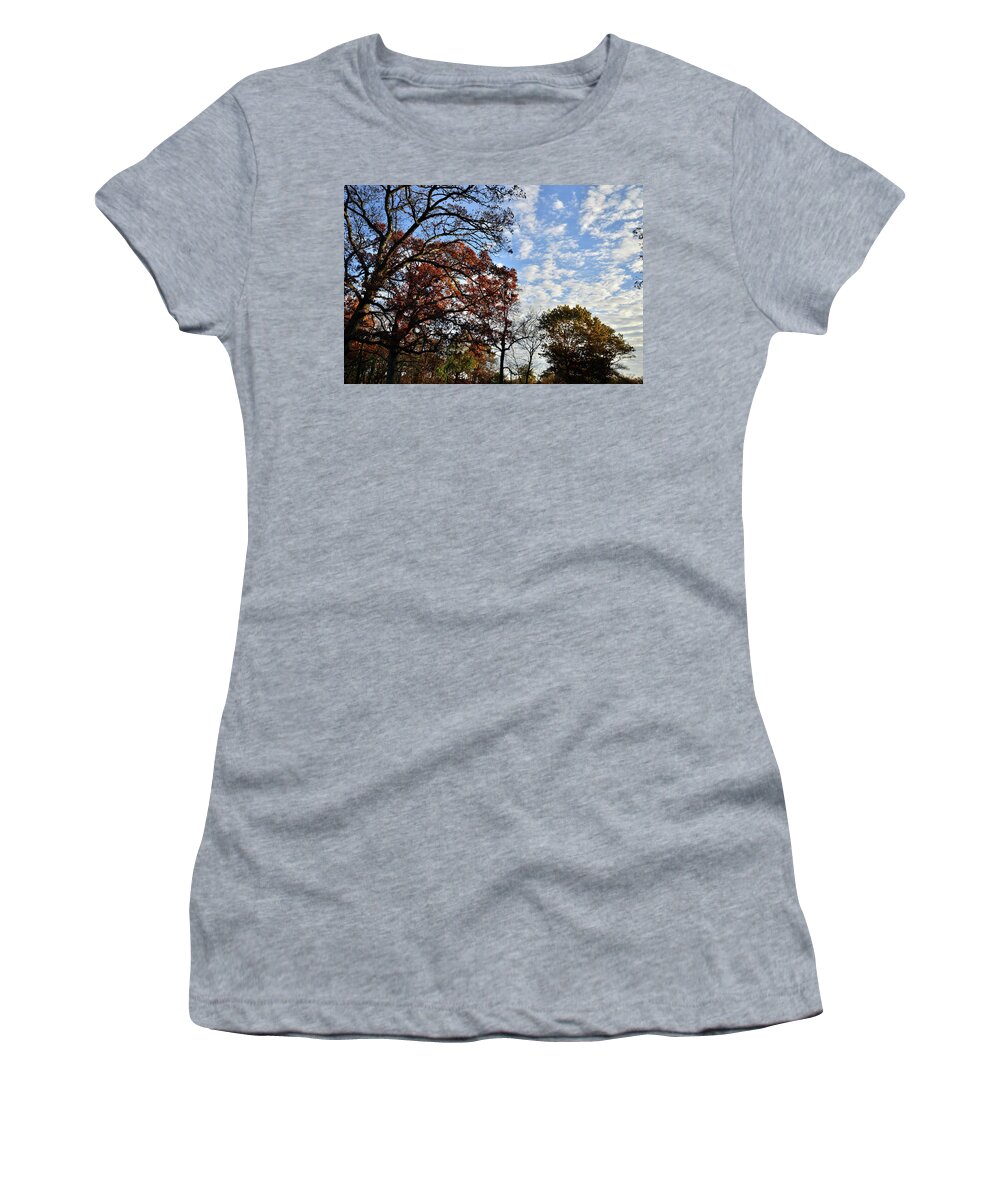 Chain-o-lakes State Park Women's T-Shirt featuring the photograph Fall Colors at Entrance to Chain-o-Lakes SP by Ray Mathis