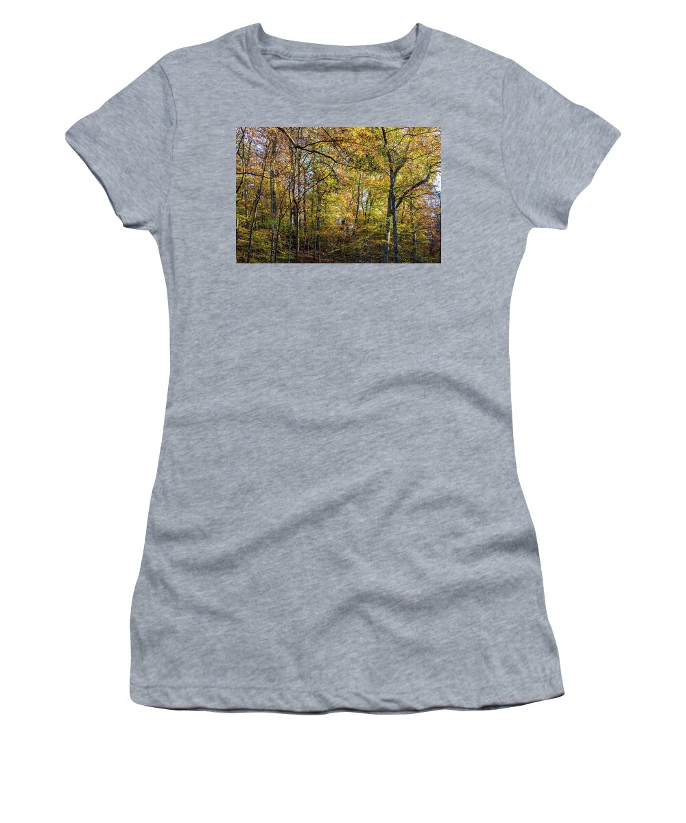 Trees Women's T-Shirt featuring the photograph Fall Colors of Rock Creek Park by Ed Clark