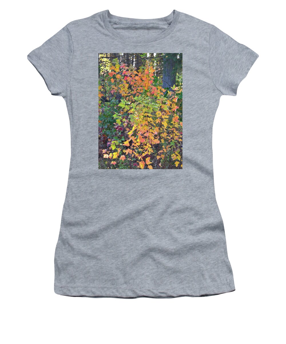 Wisconsin Women's T-Shirt featuring the photograph Fall Colors of Wisconsin by Ray Mathis