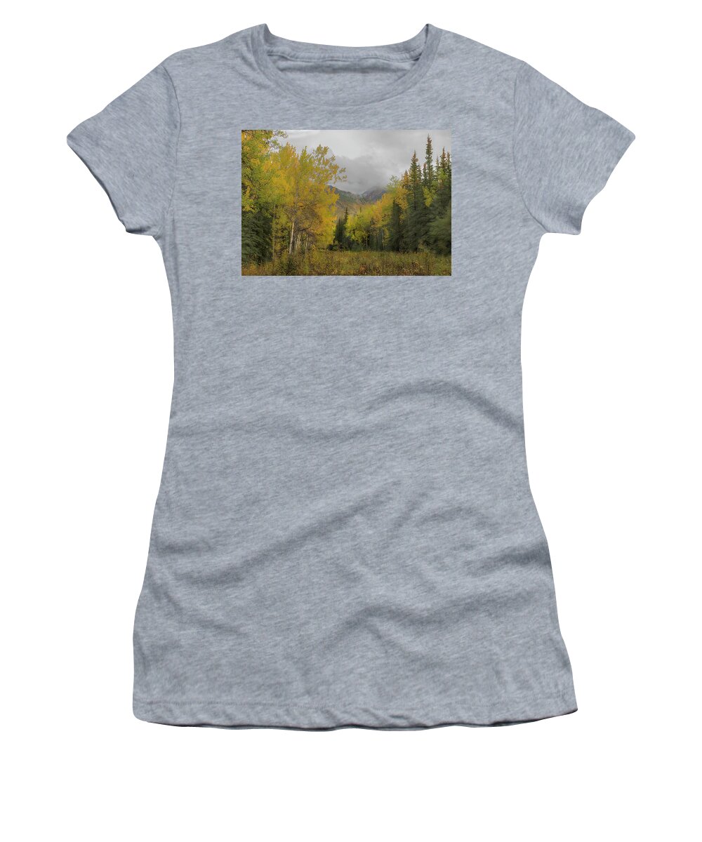 Trees Women's T-Shirt featuring the photograph Fall Glow by Patricia Dennis