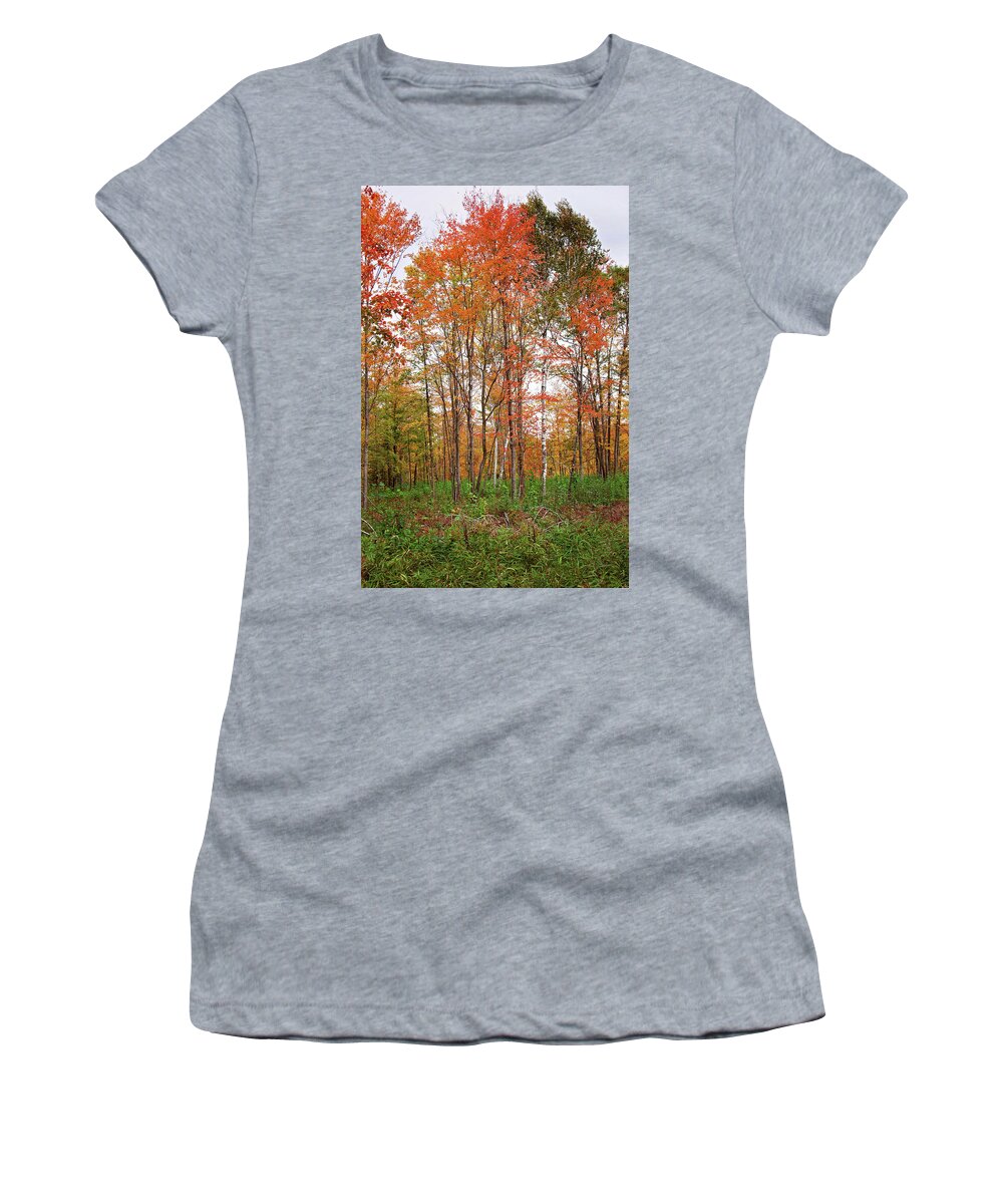 Fall Landscape Portrait Women's T-Shirt featuring the photograph Fall Landscape Portrait by Gwen Gibson