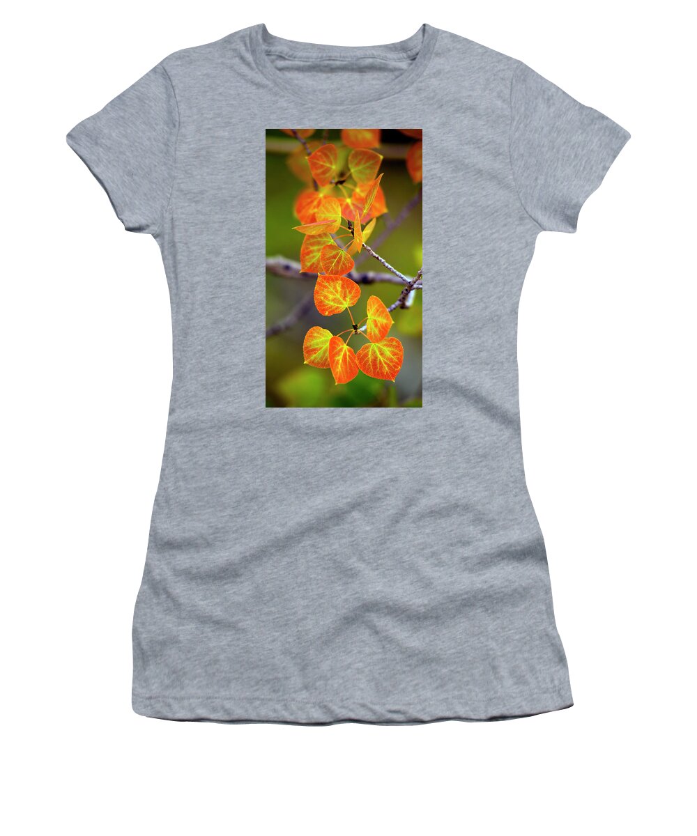 Fall Women's T-Shirt featuring the photograph Fall leaf closeup by Steve Ellison