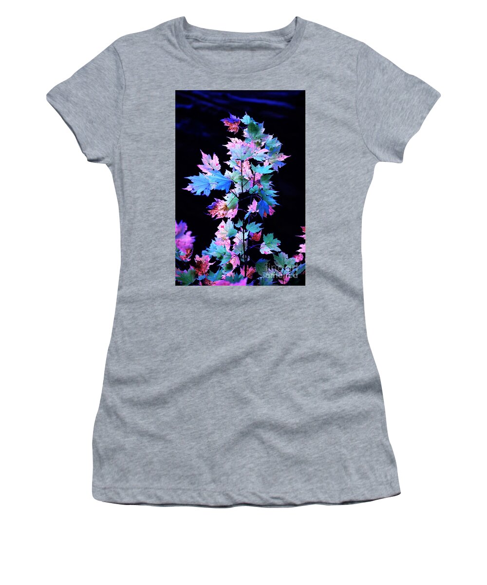 Autumn Women's T-Shirt featuring the photograph Fall Leaves1 by Merle Grenz