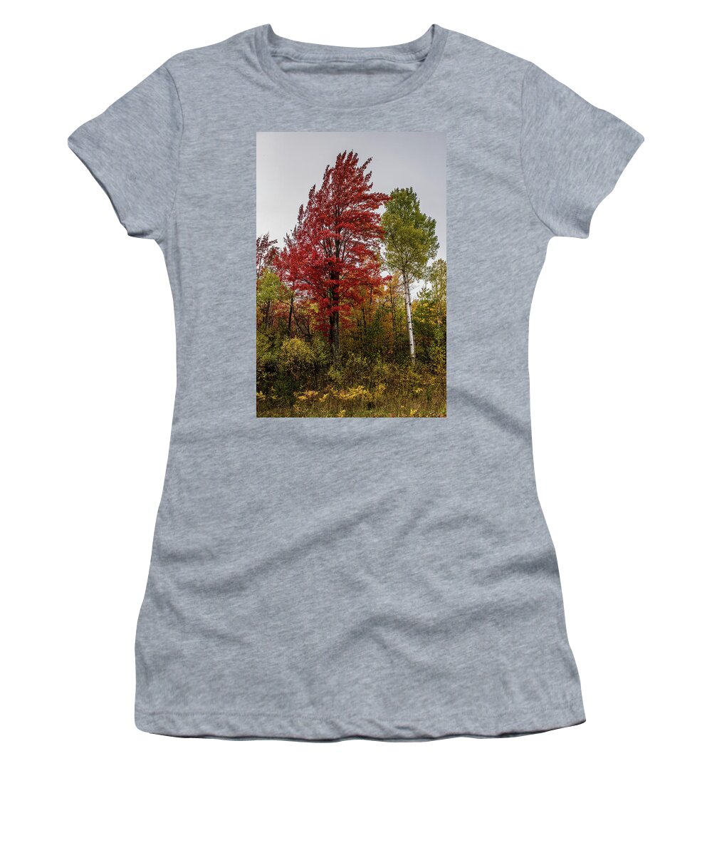 Fall Women's T-Shirt featuring the photograph Fall Maple by Paul Freidlund