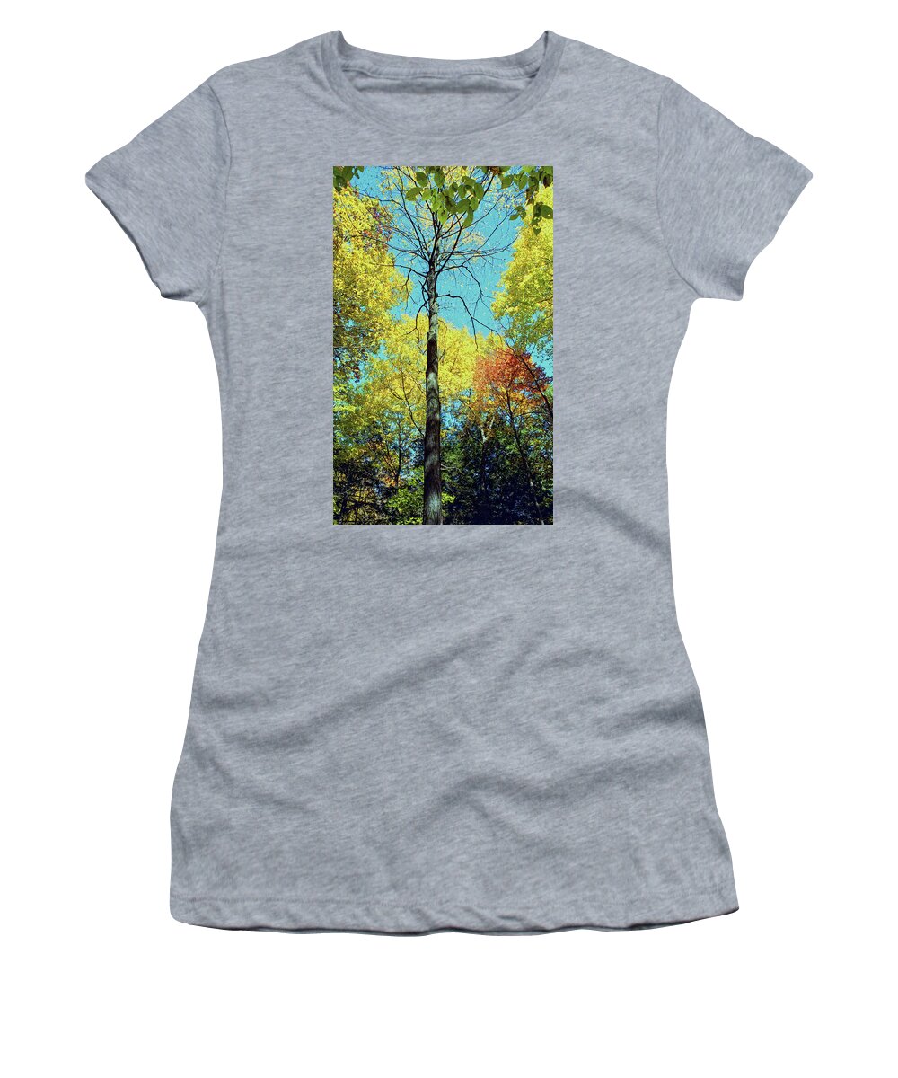 Fall Women's T-Shirt featuring the photograph Fall Trees by Doolittle Photography and Art
