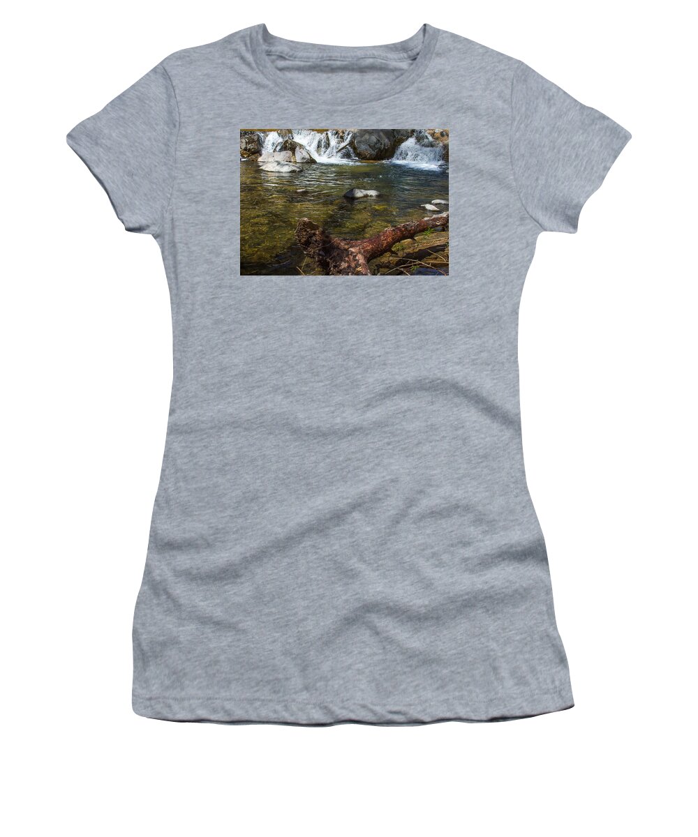 Fallen Tree At Oak Creek Women's T-Shirt featuring the photograph Fallen Tree at Oak Creek by Bonnie Follett