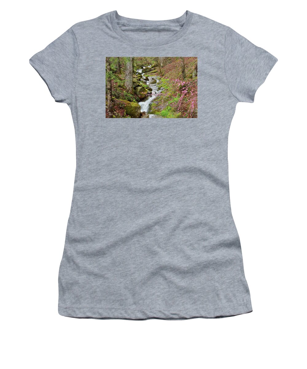 Landscape Women's T-Shirt featuring the photograph Falls Accented In Pink by Alan Lenk