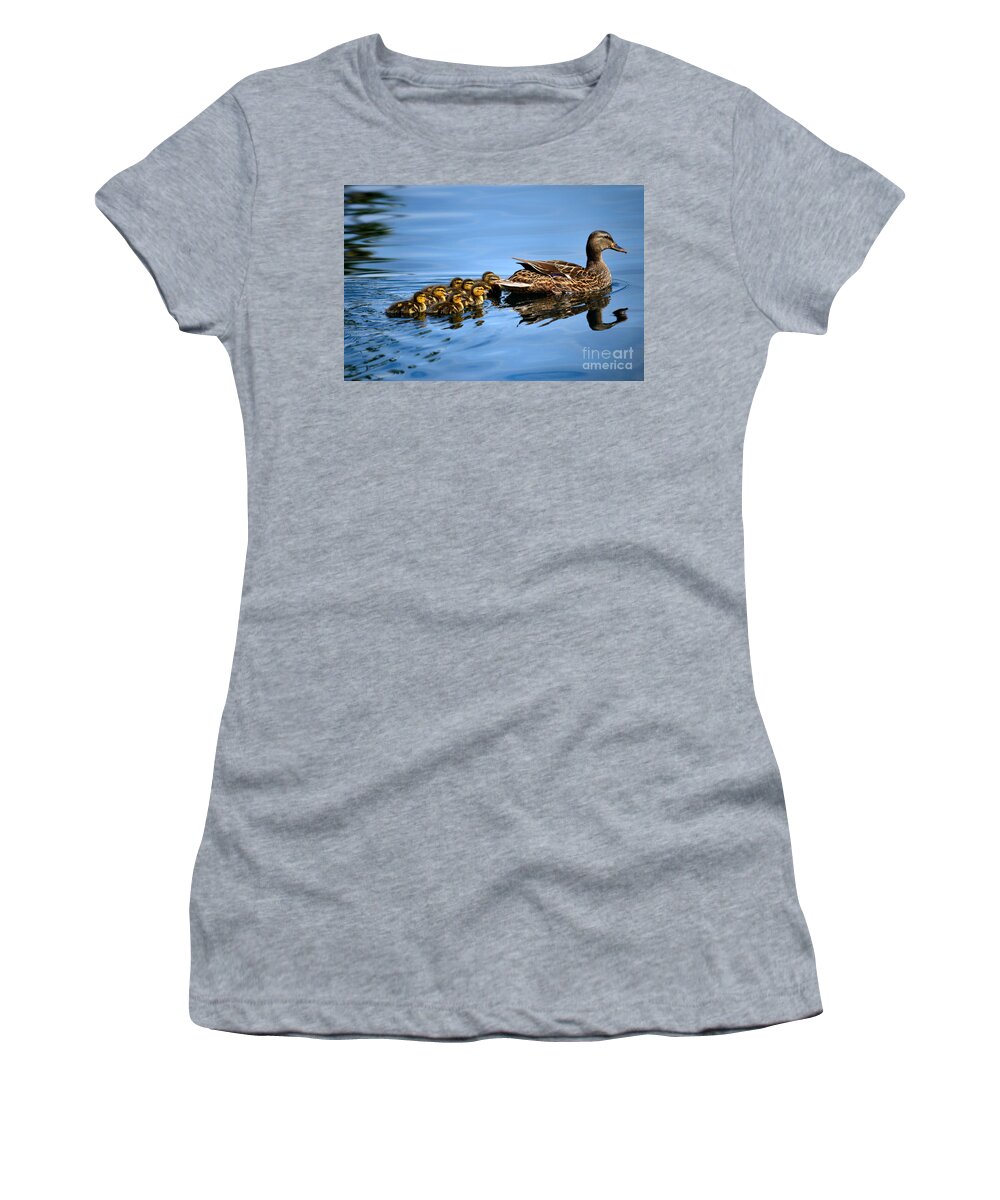 Nature Women's T-Shirt featuring the photograph Family Swim by Deb Halloran
