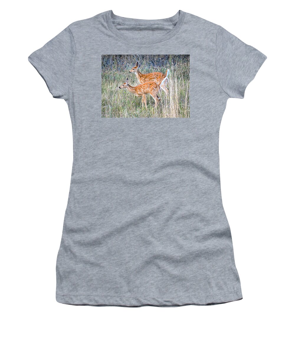 Deer Fawns Women's T-Shirt featuring the photograph Fawns at Bigfork by L J Oakes