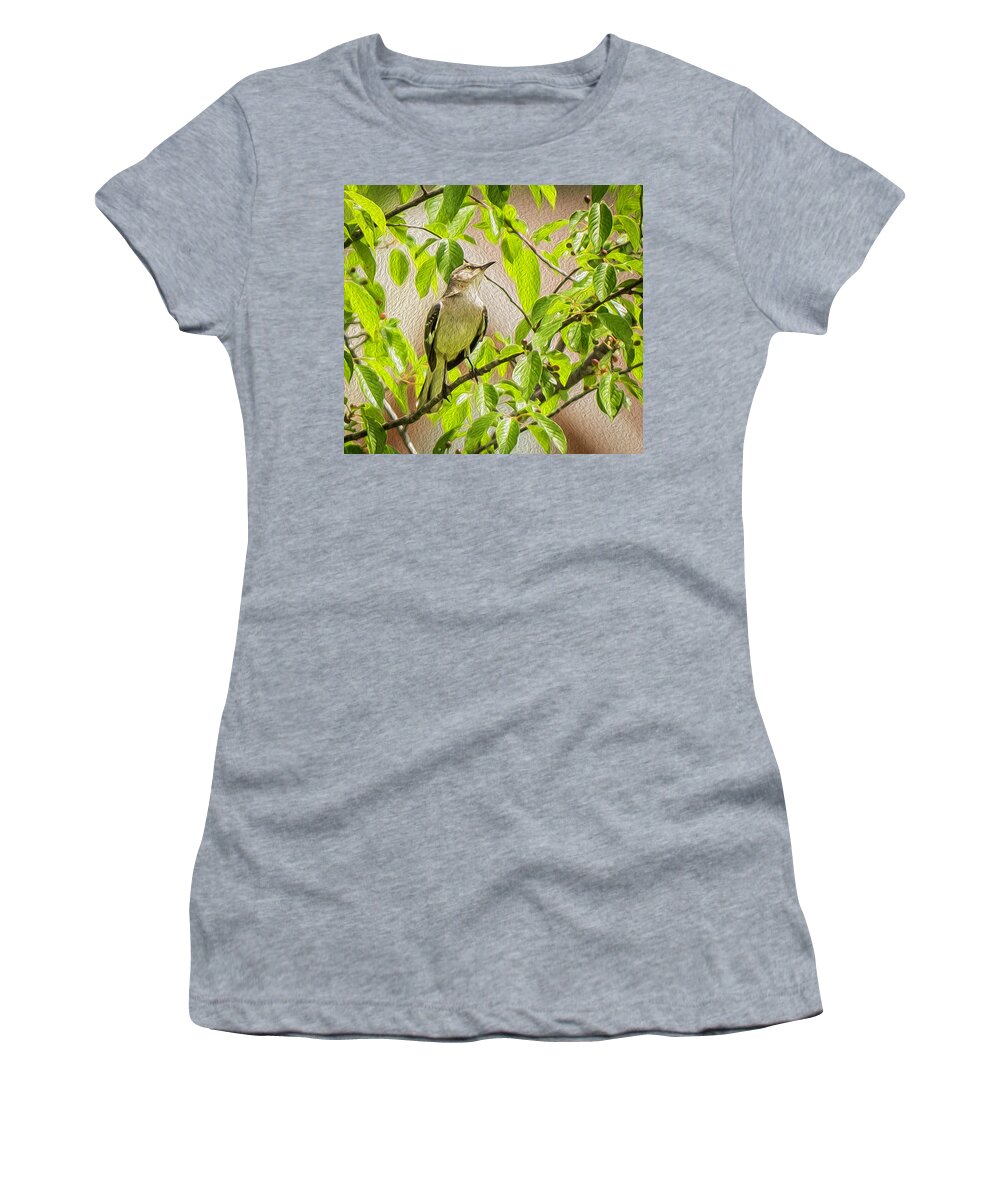 Northern Mockingbird Women's T-Shirt featuring the photograph Fearless Songbird by Cynthia Wolfe