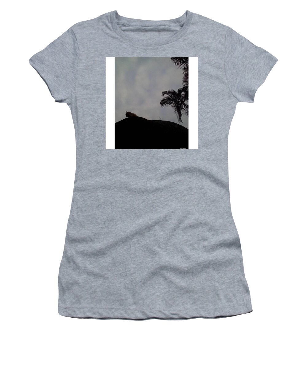 Colors Women's T-Shirt featuring the photograph Feline

from
caturday
by
david by David Cardona