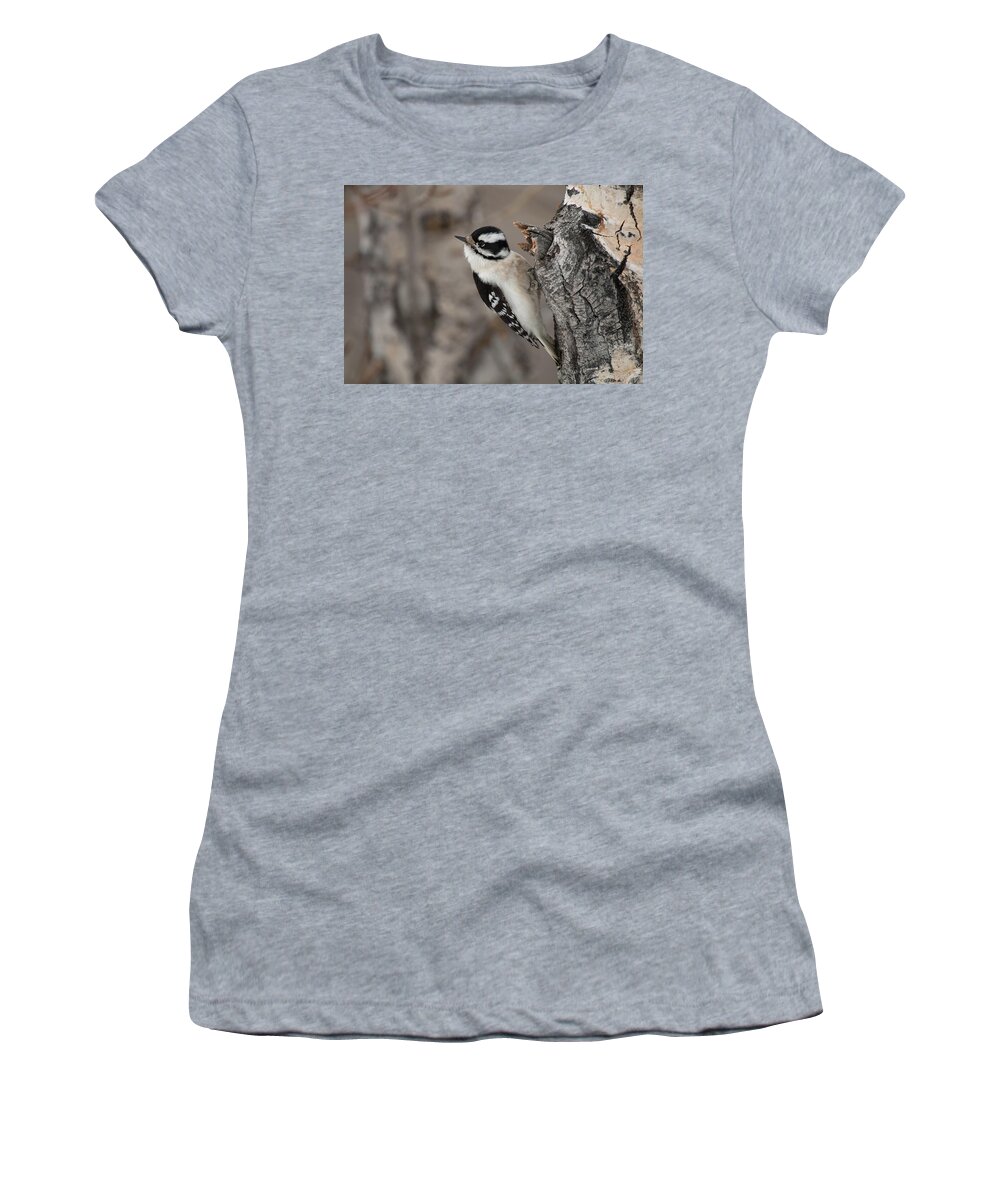 Bird Women's T-Shirt featuring the photograph Female Downey Woodpecker by Celine Pollard