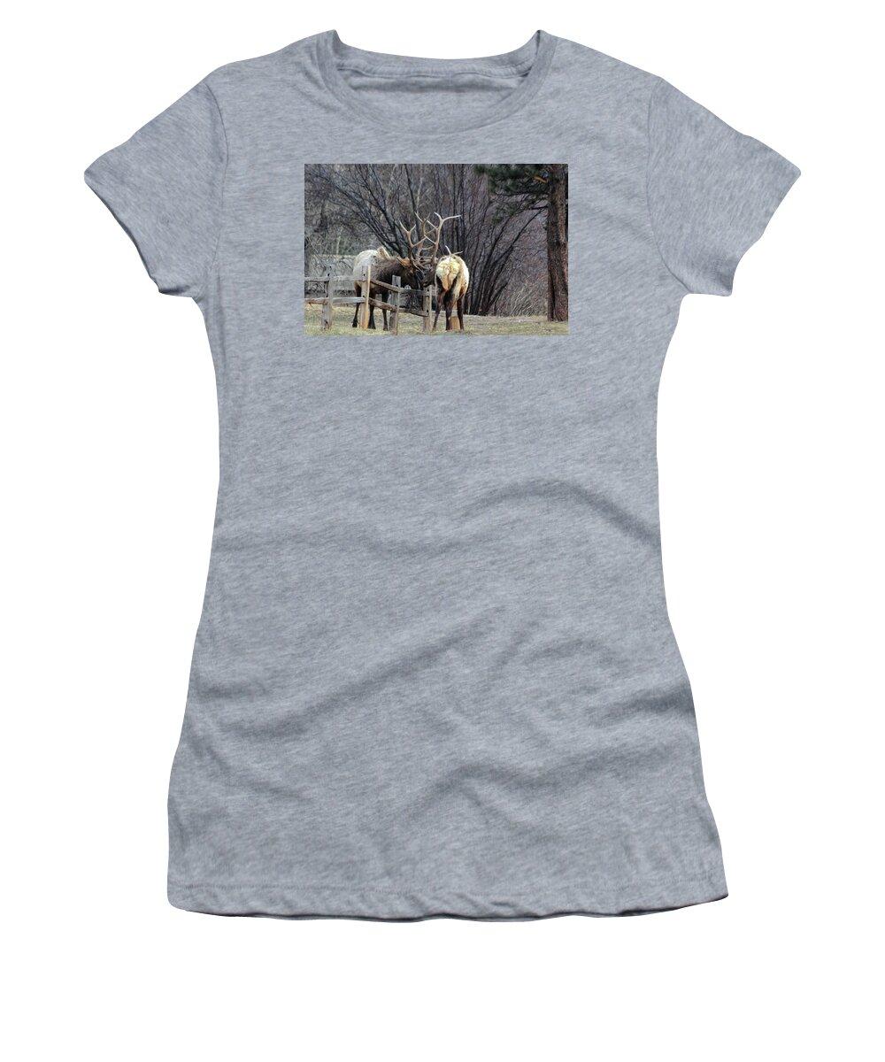 Bull Women's T-Shirt featuring the photograph Fence Battle by Shane Bechler