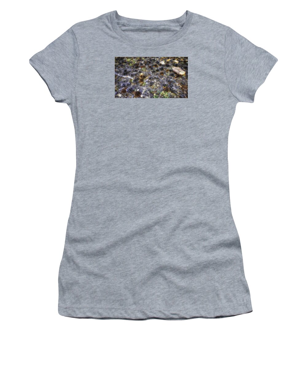 Pine;tree;autumn;fall;forest;nature Women's T-Shirt featuring the photograph Field of Cones by Michael Newberry