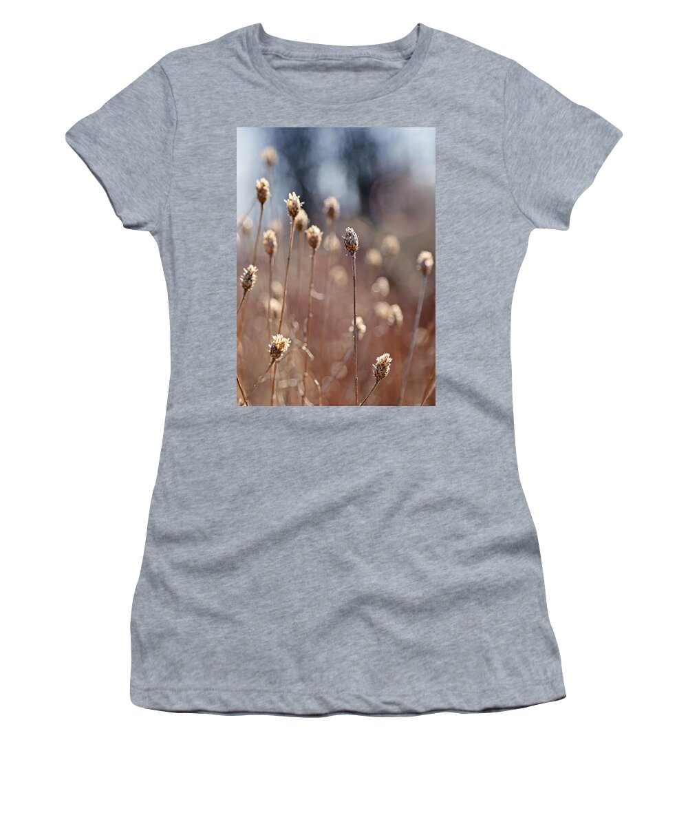 Earth Tones Women's T-Shirt featuring the photograph Field of Dried Flowers in Earth Tones by Brooke T Ryan