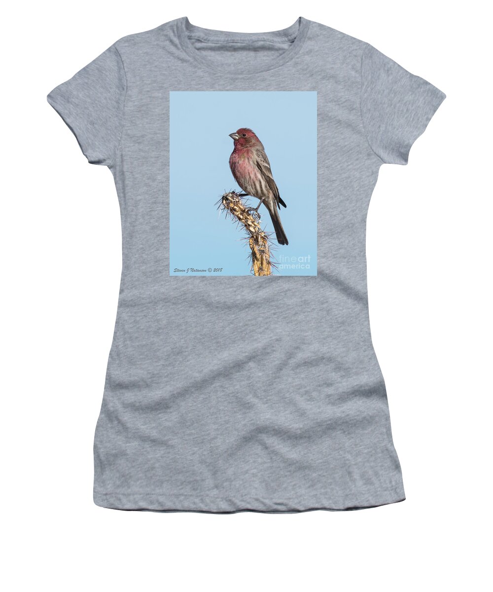 Natanson Women's T-Shirt featuring the photograph Finch on Cholla by Steven Natanson