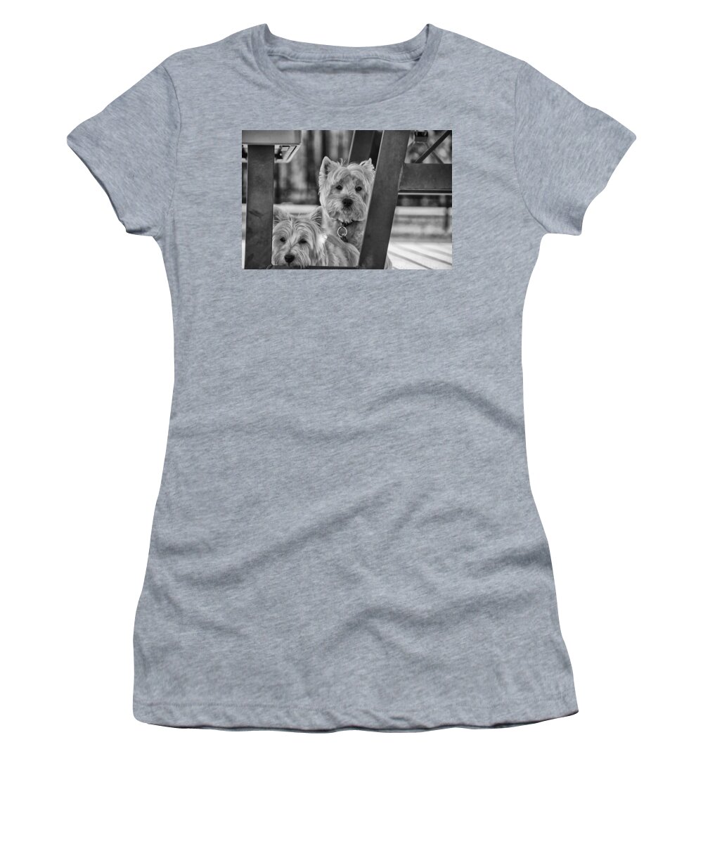 Adorable Women's T-Shirt featuring the digital art Finding shade by Debra Baldwin