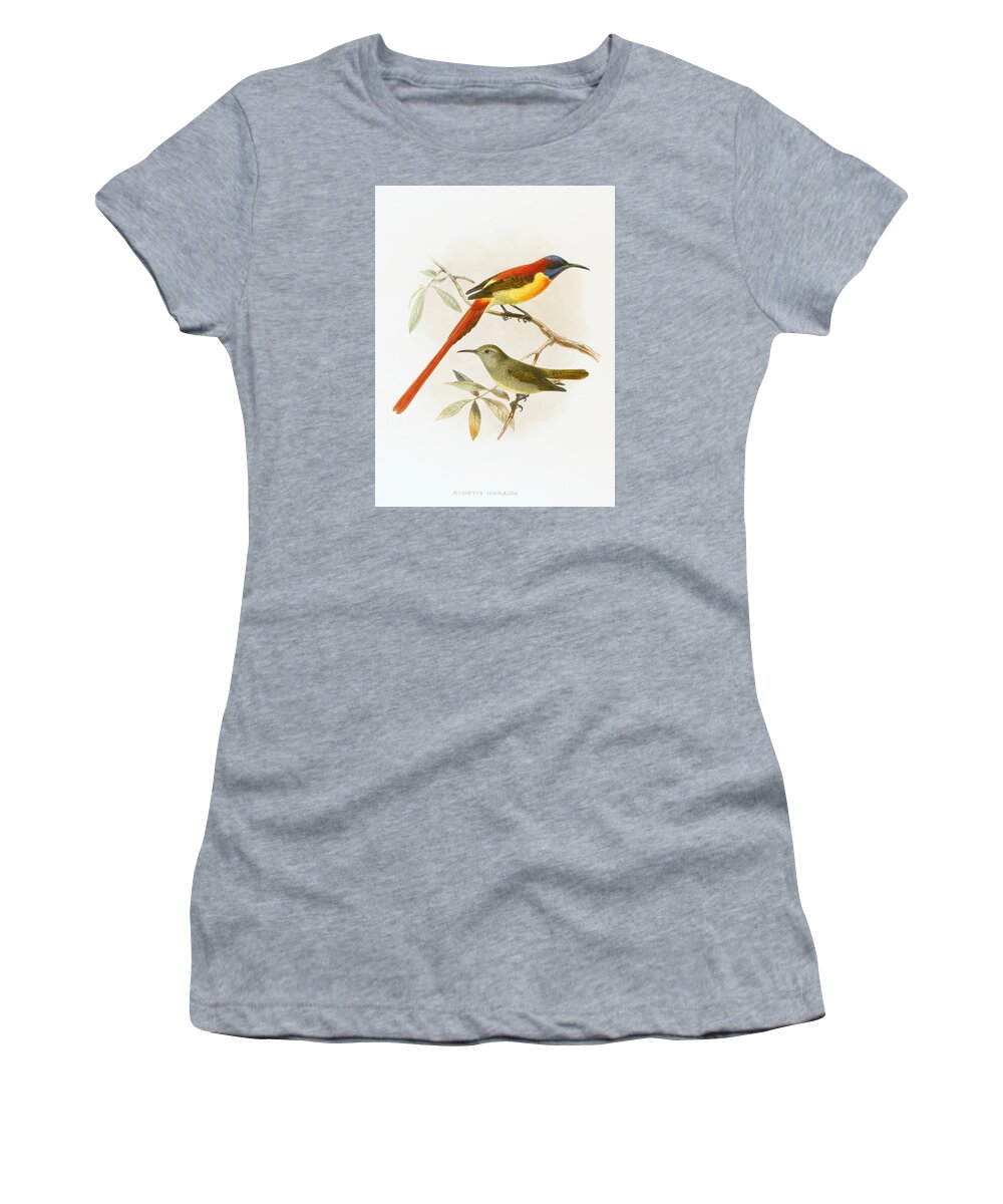 John Gerrard Keulemans Women's T-Shirt featuring the drawing Fire-tailed sunbird. Aethopyga ignicauda by John Gerrard Keulemans