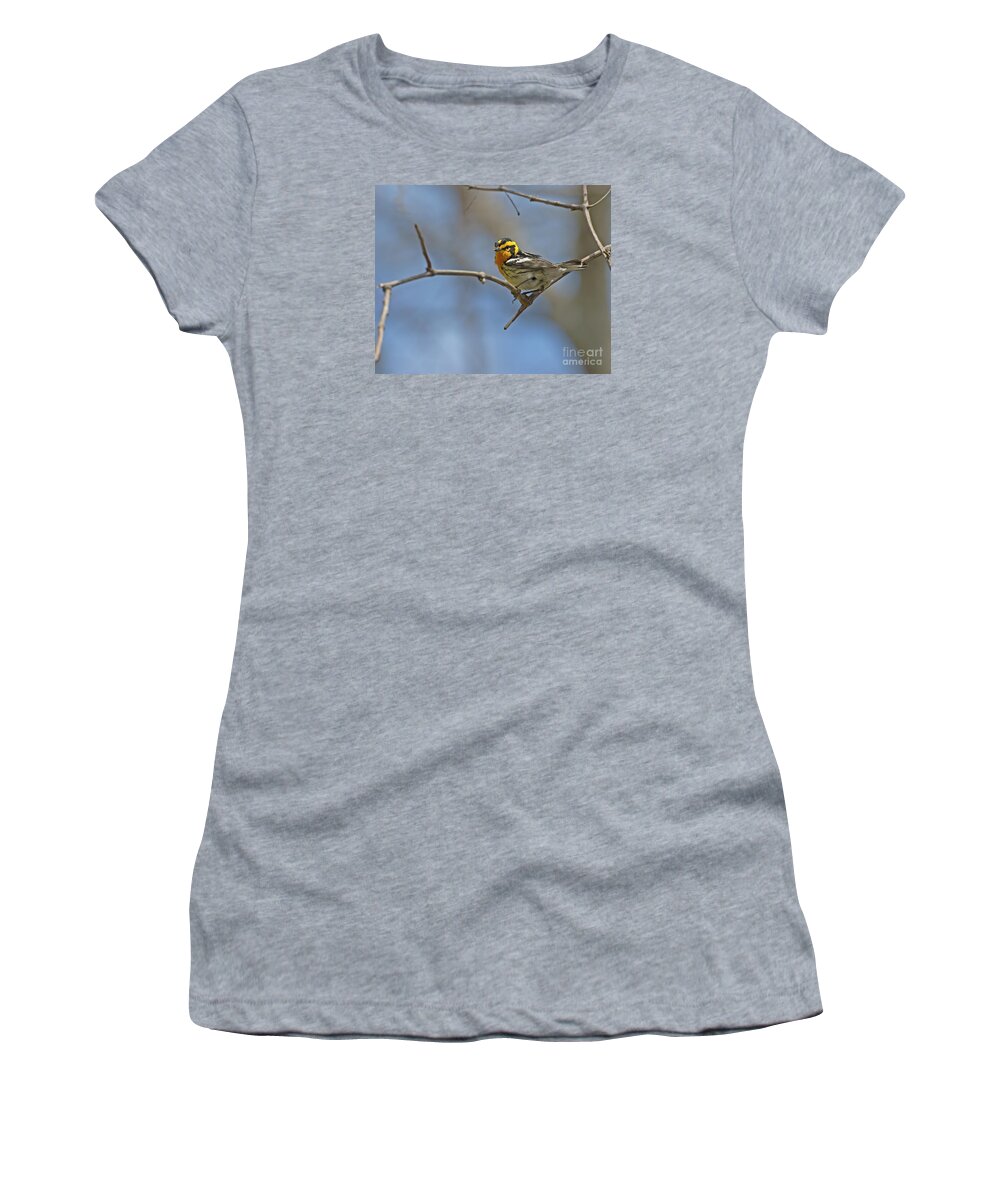 Blackburnian Warbler Women's T-Shirt featuring the photograph Fire Throat... by Nina Stavlund