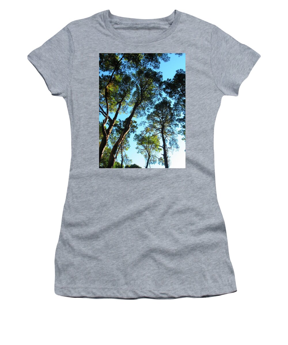 Forest Women's T-Shirt featuring the photograph First Light by Judith Lauter