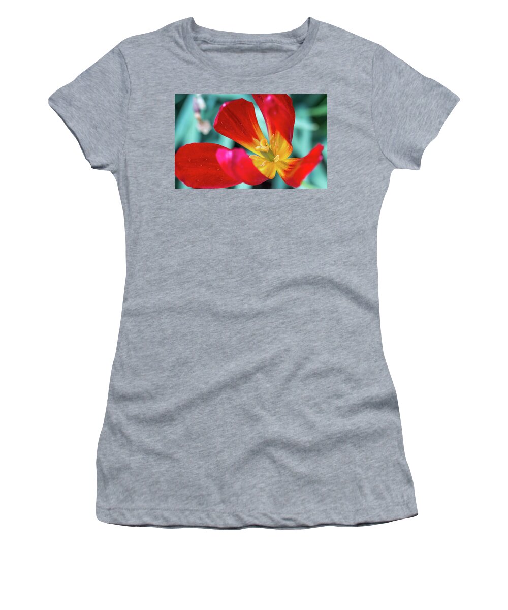 Flower Women's T-Shirt featuring the photograph Flaming Tulip by Susie Weaver