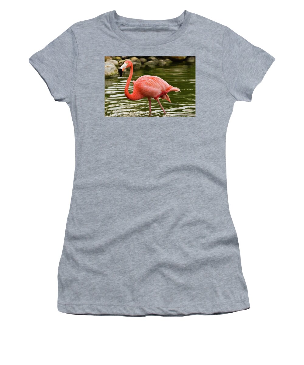 Flamingo Women's T-Shirt featuring the photograph Flamingo Wades by Nicole Lloyd