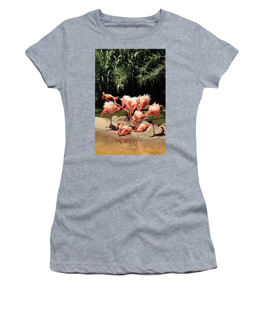 Flamingo Women's T-Shirt featuring the photograph Flamingos by David Diaz